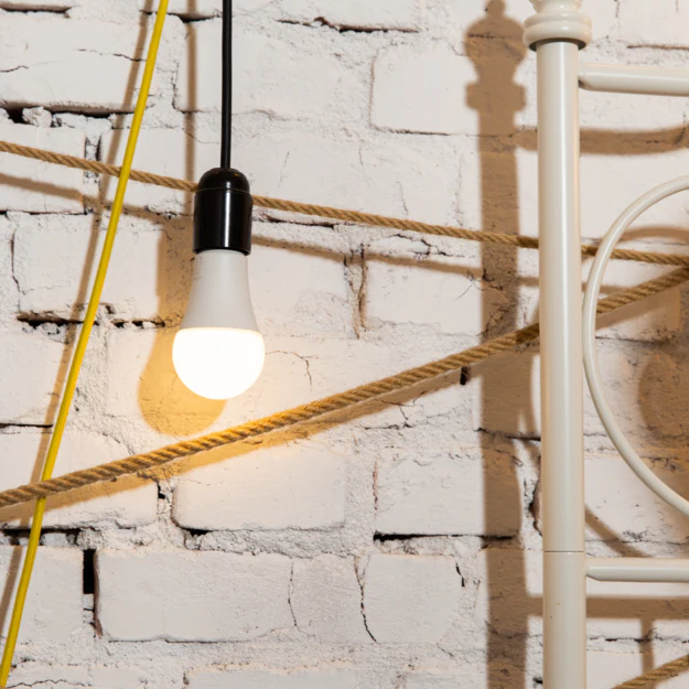 Shelly Duo - Image 3