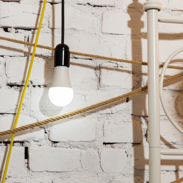 Shelly Duo - Image 2